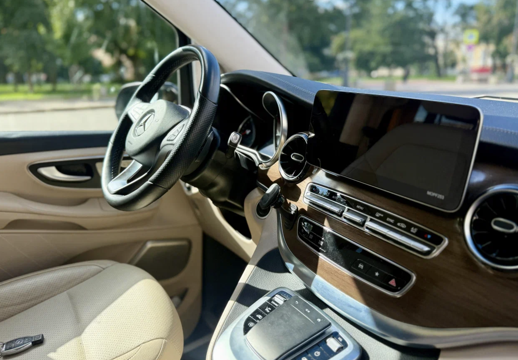 Mercedes V-Class (Extra Long) photo
